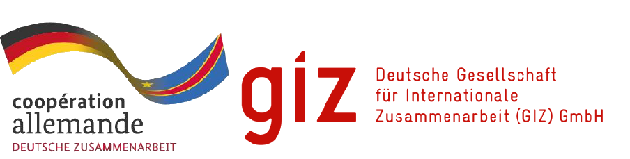 GIZ